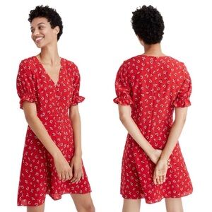 Madewell Floral Red V-Neck Dress